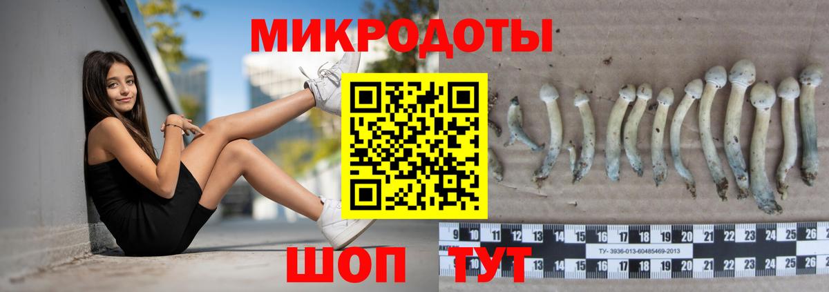 Галлюциногенные грибы MAGIC MUSHROOMS  закладки  Котлас 